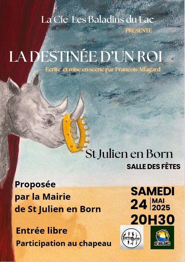LA DESTINEE D UN ROI.jpg